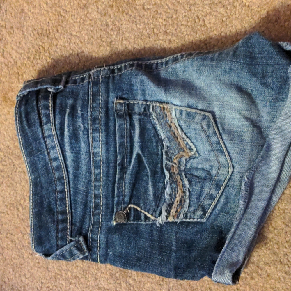 Jean Shorts- Truce Size 1
